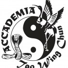 logo accademia cinese